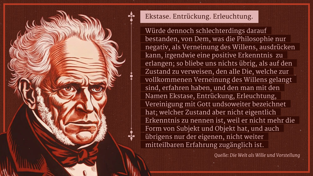 Schopenhauer - Screenshot 06