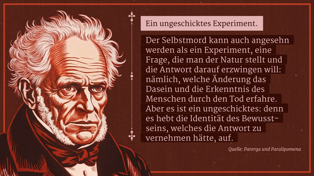 Schopenhauer - Screenshot 07